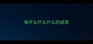 味什么什么什么的成语