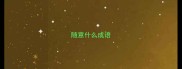 随意什么成语