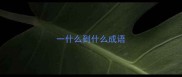 一什么到什么成语