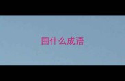 围什么成语