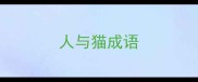 人与猫成语