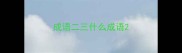 成语二三什么成语