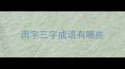 雨字三字成语有哪些