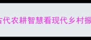 垦荒拓土从古代农耕智慧看现代乡村振兴的成语启示