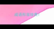 成语形容珍贵