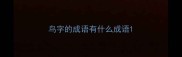 鸟字的成语有什么成语
