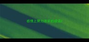 感情上努力追求的成语