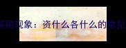 成语误用现象资什么各什么的常见错误