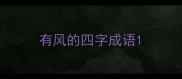 有风的四字成语