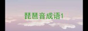琵琶音成语