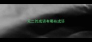 无二的成语有哪些成语