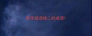 然字成语排二的成语
