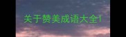 关于赞美成语大全