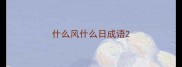 什么风什么日成语