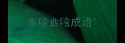 东啥西啥成语