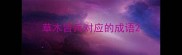 草木皆兵对应的成语