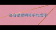 形容很聪明带手的成语