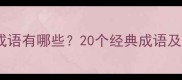 形容不一般的成语有哪些20个经典成语及使用场景指南