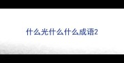 什么光什么什么成语