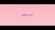 成语什么化