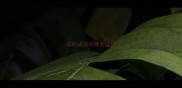 堤的成语有哪些成语