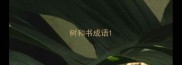 树和书成语