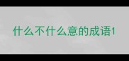 什么不什么意的成语