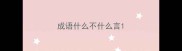 成语什么不什么言