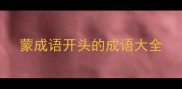 蒙成语开头的成语大全
