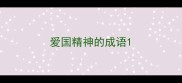 爱国精神的成语