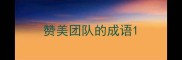 赞美团队的成语