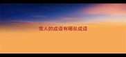 雪人的成语有哪些成语