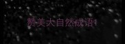 赞美大自然成语