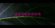 成语把脑筋急转弯