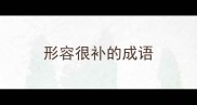 形容很补的成语