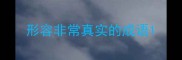 形容非常真实的成语