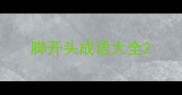 脚开头成语大全
