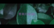 带有月成语