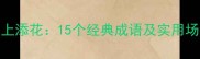 锦上添花15个经典成语及实用场景