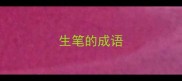 生笔的成语