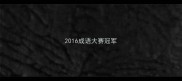 2016成语大赛冠军
