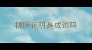 柳暗花明是成语吗