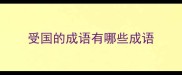 受国的成语有哪些成语