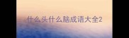 什么头什么脑成语大全