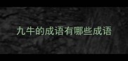 九牛的成语有哪些成语