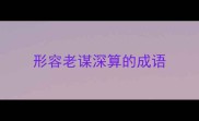 形容老谋深算的成语