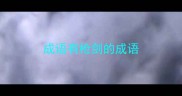 成语有枪剑的成语