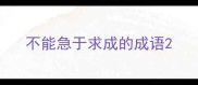 不能急于求成的成语