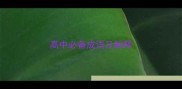高中必备成语及解释