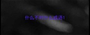 什么不时什么成语